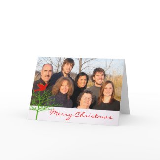 Christmas Bird card