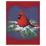 CHRISTMAS BIRD: CARDINAL: ART flyers