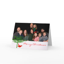 Christmas Bird - - Customized cards