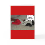 Christmas Black and White Kitty Cat cards