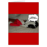Christmas Black and White Kitty Cat Cards