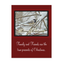 Christmas Black Capped Chickadee in Snow Post Card