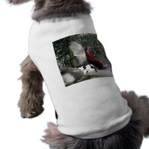 Christmas-Blessings pet clothing