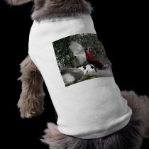 Christmas-Blessings pet clothing