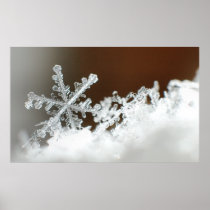 Christmas Blizzard 2009 Print
