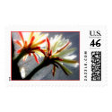 Christmas Blooms postage