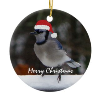 Christmas Blue Jay Ornament