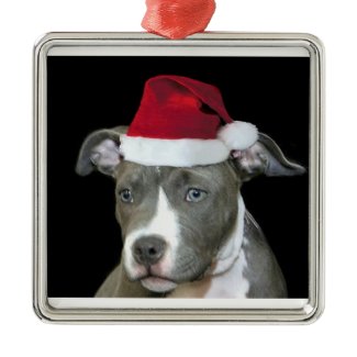 Christmas blue pitbull puppy ornament