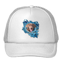 Christmas - Blue Snowflake - Labrador - Chocolate Hats