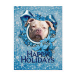 Christmas - Blue Snowflake - Pitbull - Jersey Girl Postcards