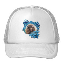 Christmas - Blue Snowflake - Poodle - Chocolate Mesh Hat