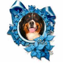 Christmas - Blue Snowflakes - Bernese Mountain Dog Cut Out