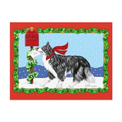 Christmas Border Collie Mail postcards