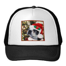Christmas Boston terrier Hats