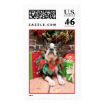 Christmas - Boston Terrier - Natty Postage