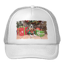 Christmas - Boston Terrier - Natty Trucker Hats