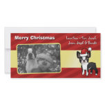 Christmas Boston Terrier Photo Card Template