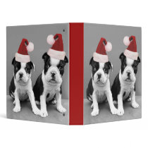 Christmas Boston Terrier pups binder