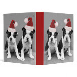 Christmas Boston Terrier pups binder