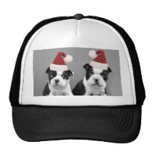Christmas Boston Terriers Mesh Hats