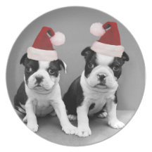 Christmas Boston terriers Party Plates