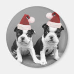 Christmas Boston Terriers Refrigerator Magnets