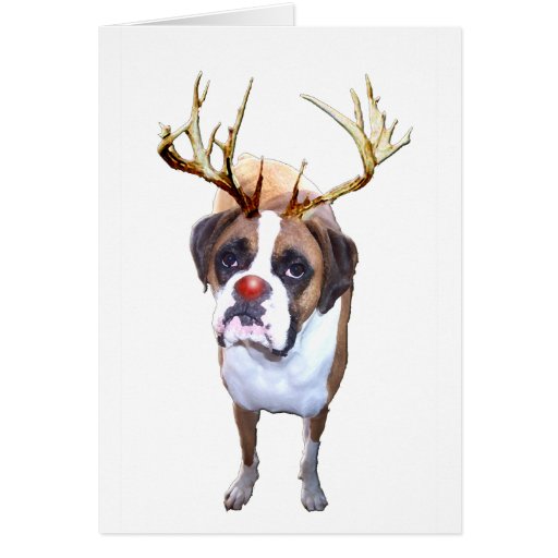 Christmas Boxer Dog Greeting Card | Zazzle