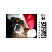 Christmas Boxer dog postage