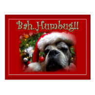 Christmas boxer dog postcard