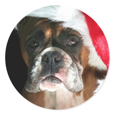 Christmas Boxer Dog stickers