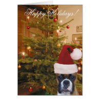 Christmas boxer greeting card
