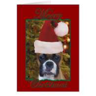 Christmas boxer greeting card