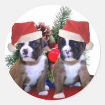 Christmas boxer puppies stickers