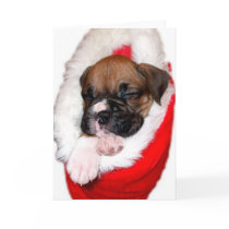 Christmas boxer puppy greeting card