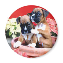 Christmas boxer puppy magnet