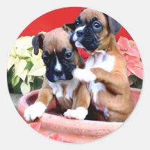Christmas boxer puppy sticker