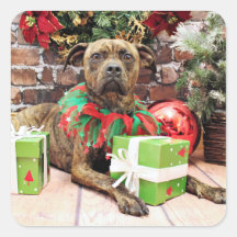 Christmas - Boxer X - Kita Sticker