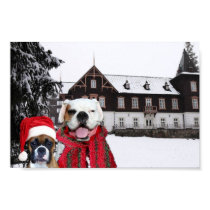 Christmas Boxers poster posters