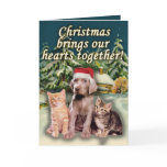 Christmas Brings Our Hearts Together, Puppy Kitten cards