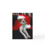 CHRISTMAS BRITTANY