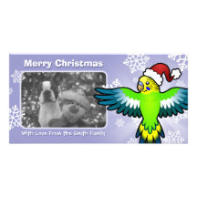 Christmas Budgie / Parakeet Photo Cards