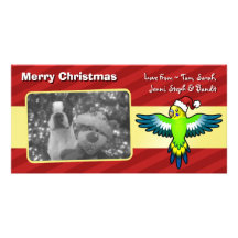 Christmas Budgie / Parakeet Photo Greeting Card