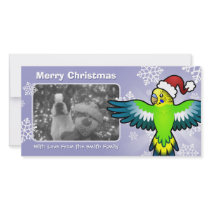 Christmas Budgie / Parakeet Photo Cards