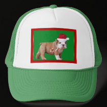 Christmas Bulldog puppy hats