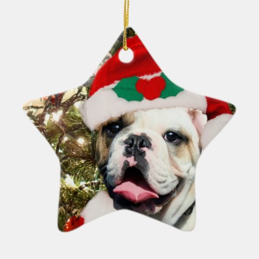 christmas bulldog star ornament zazzle christmas bulldog star ornament zazzle