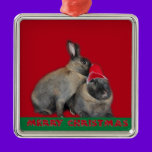 Christmas Bunny Rabbits Santa Hat Red ornaments