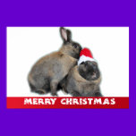 Christmas Bunny Rabbits with Santa Hat New Year posters