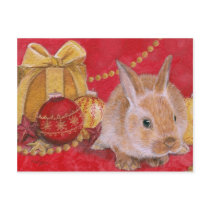 Christmas Bunny Rabit Xmas Ornaments postcard