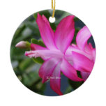 christmas cactus #01 christmas tree ornament