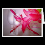 Christmas Cactus And Two Glasses - Merry Christmas cards